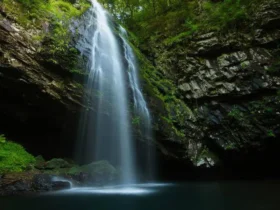 Japan’s Most Popular Waterfalls With Hidden Views From Behind 6 Featured