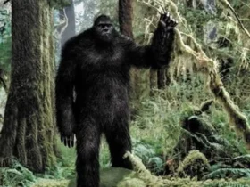 The Legendary Bigfoot Monster 9