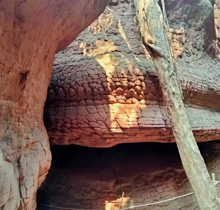 Discovery Of Giant Snake-shaped Cave In Thailand 3