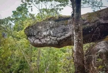 Discovery Of Giant Snake-shaped Cave In Thailand 5