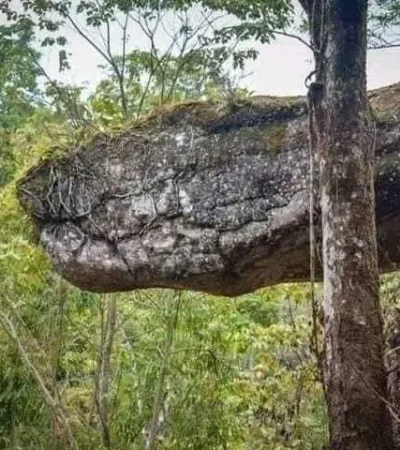 Discovery Of Giant Snake-shaped Cave In Thailand 5
