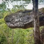 Discovery Of Giant Snake-shaped Cave In Thailand 5 (featured)