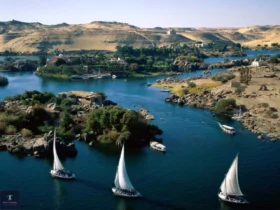 Nile River 3-4