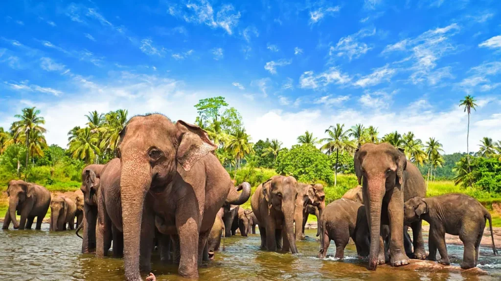 Explore Sri Lanka 06