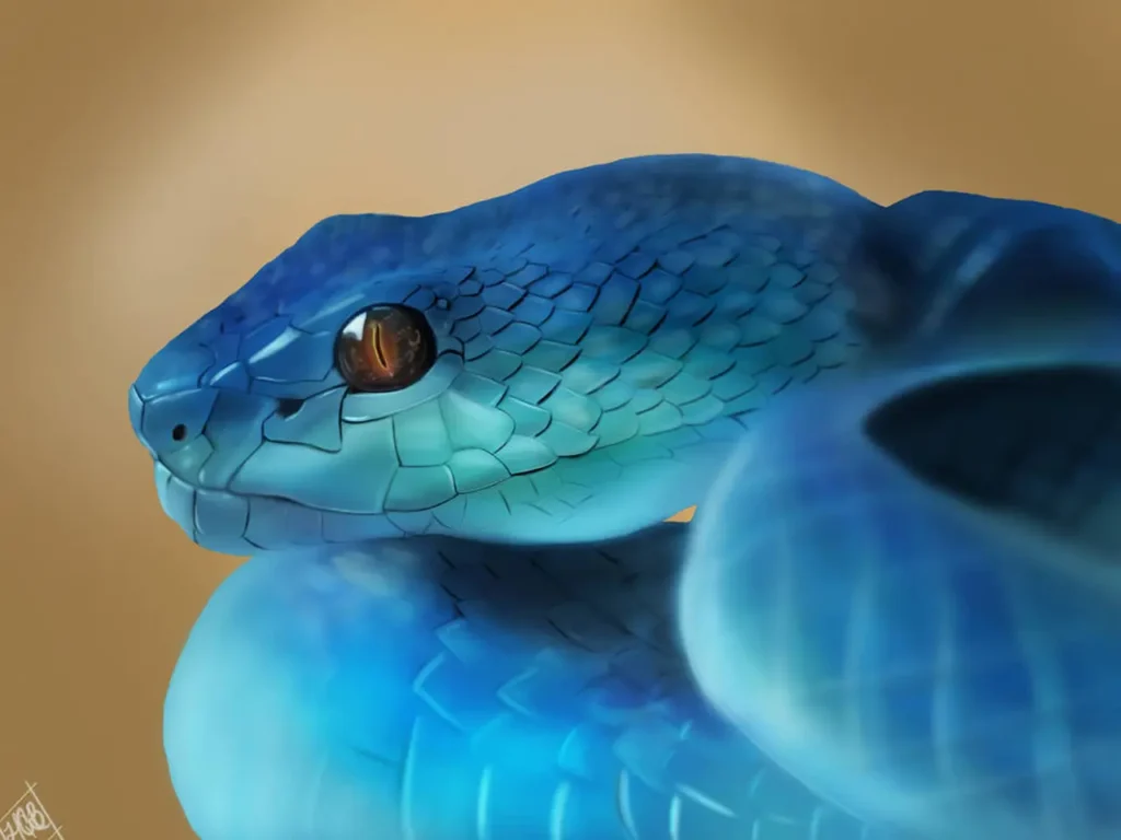 Blue Snakes 13