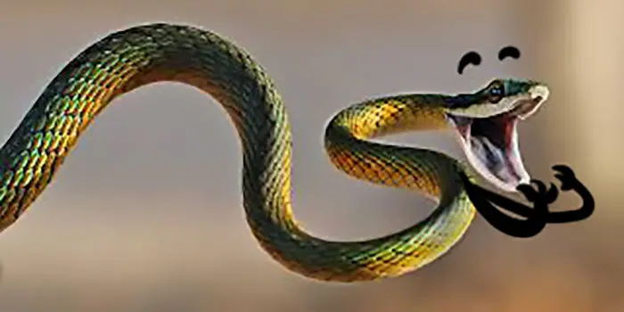 Funny Snakes 16