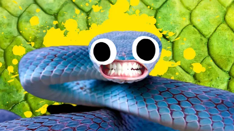 Funny Snakes 3