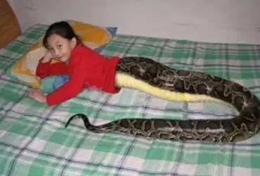 The Half-human, Half-snake Girl 1