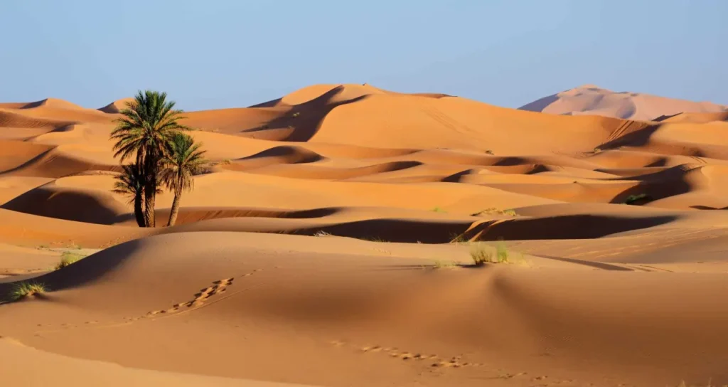 The Top Famous Deserts In The World 1-2