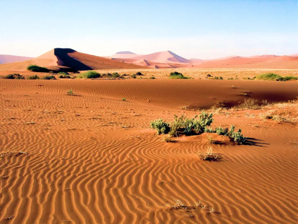 The Top Famous Deserts In The World 11