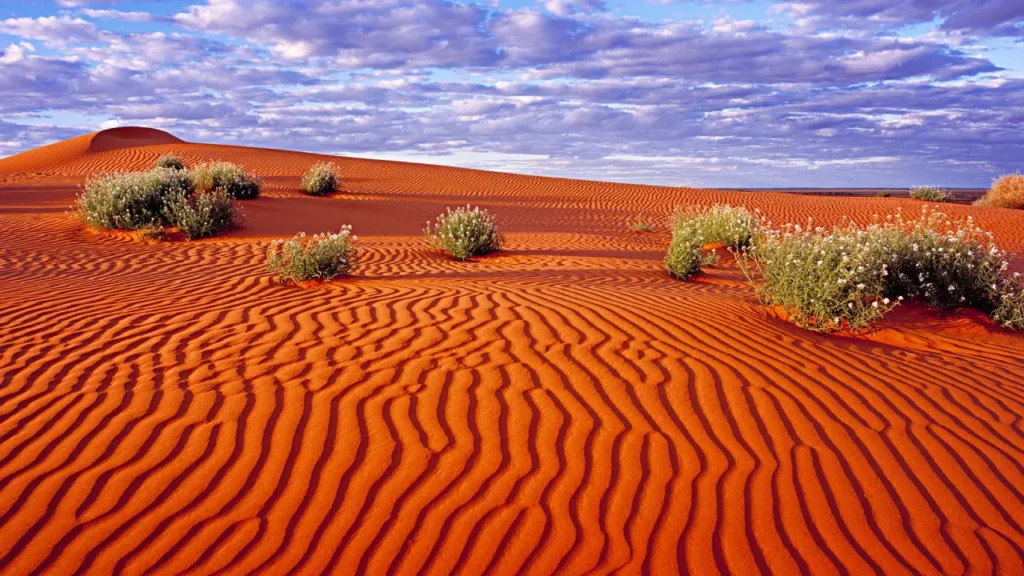 The Top Famous Deserts In The World 122