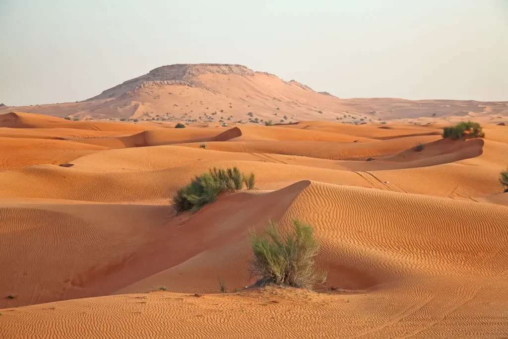 The Top Famous Deserts In The World 5