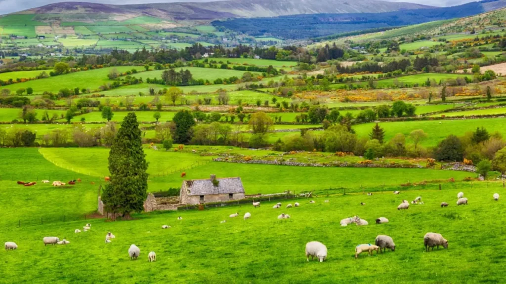 The Top Tourist Attractions In Ireland 0